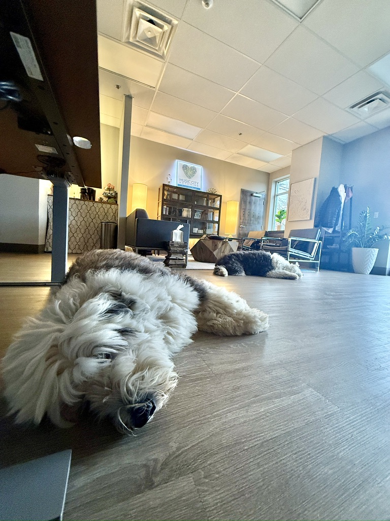 Walter White napping