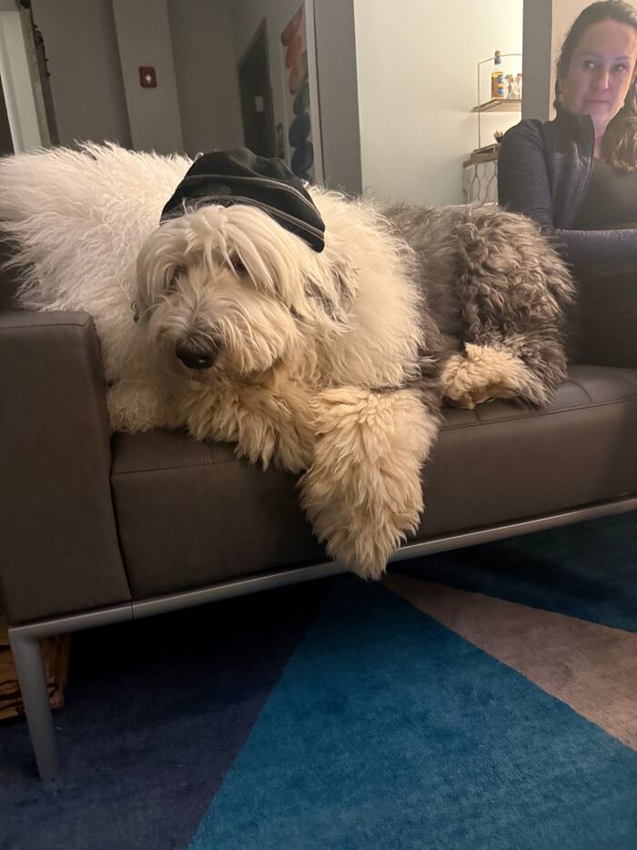 Walter White in a hat